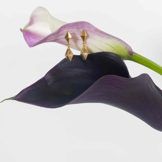 The Show Must Go On Earrings