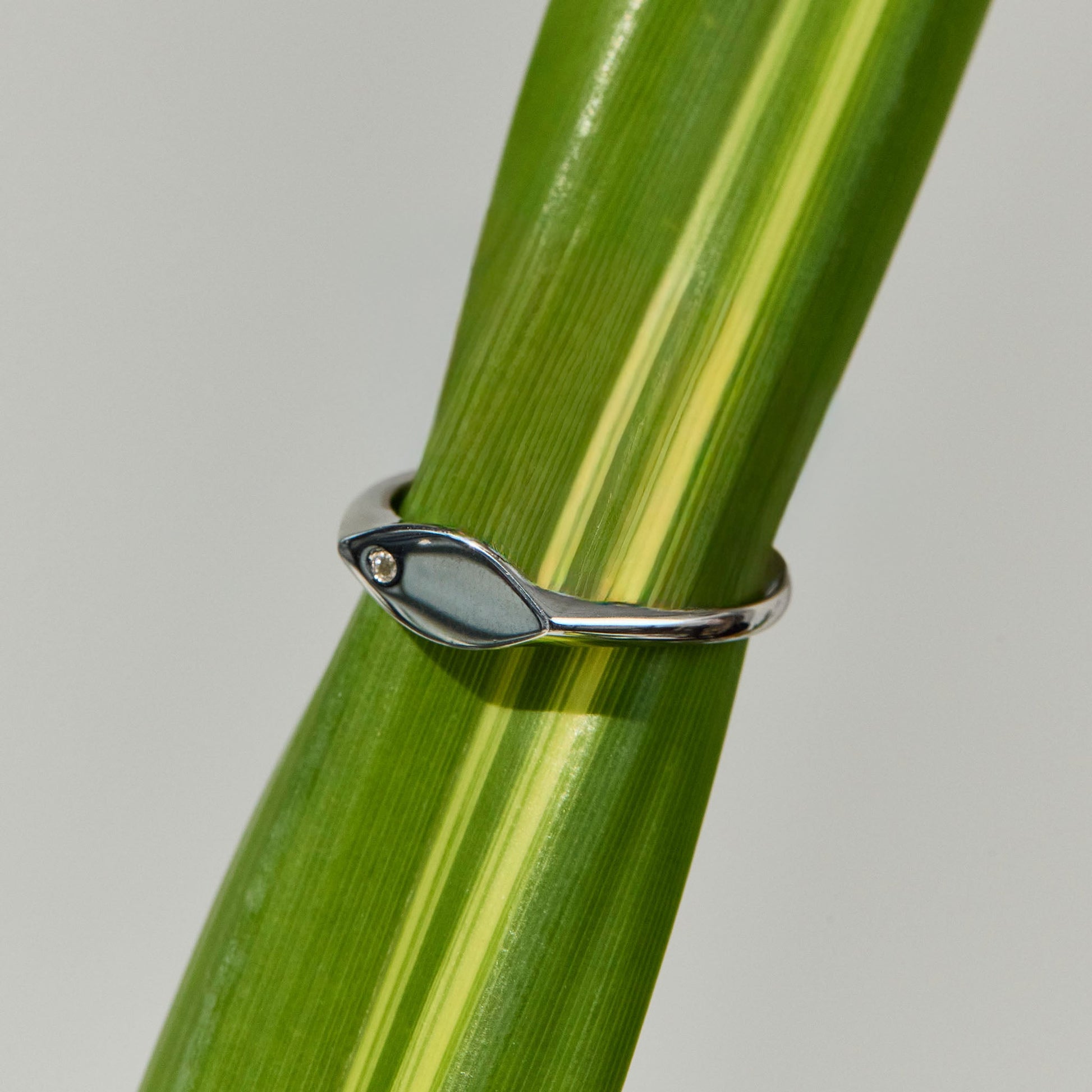 Catch the Spark Ring - LÚDERE