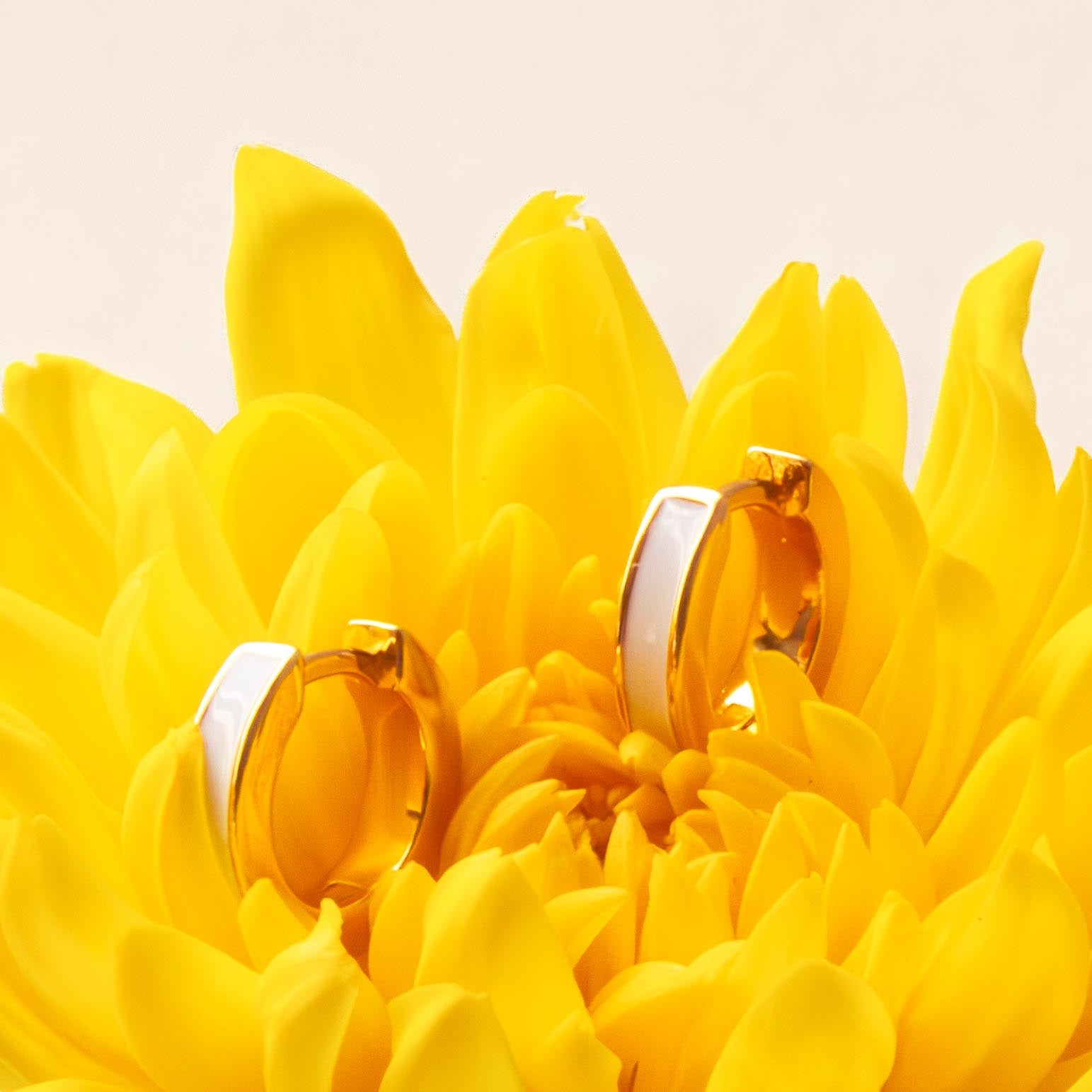 Count Me In Earrings - LÚDERE
