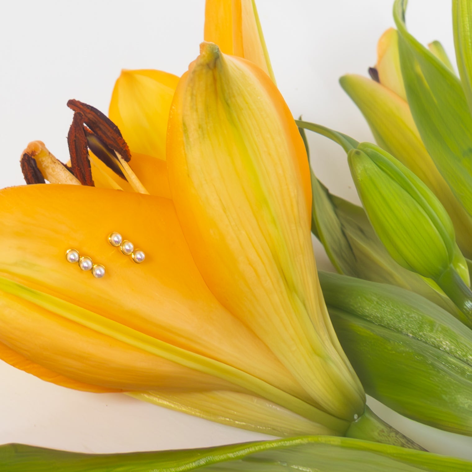 Create your Happy Earrings - LÚDERE
