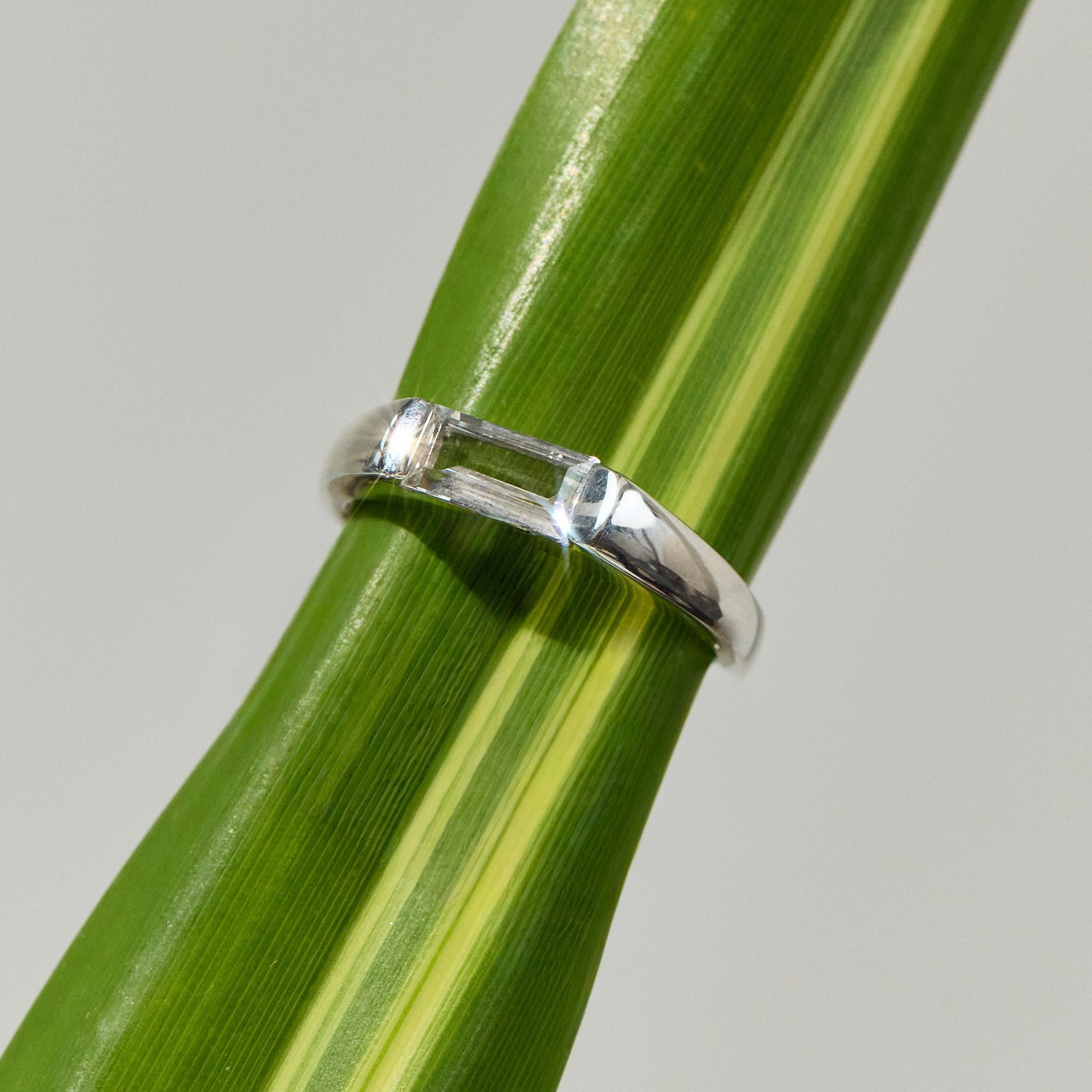 Love Fool Ring - LÚDERE