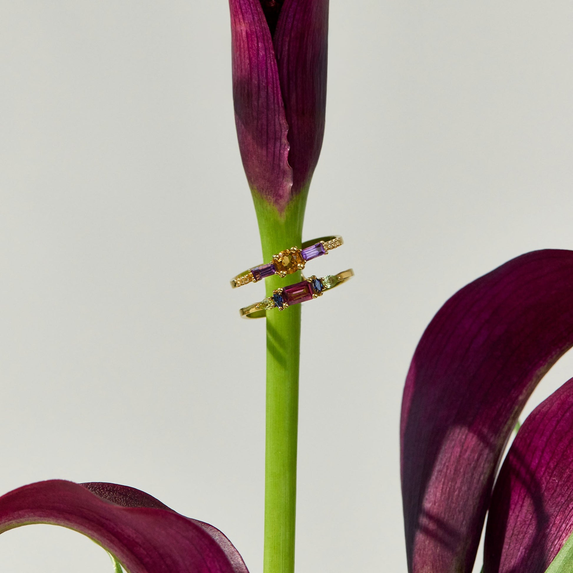 Midnight Snack Ring - LÚDERE