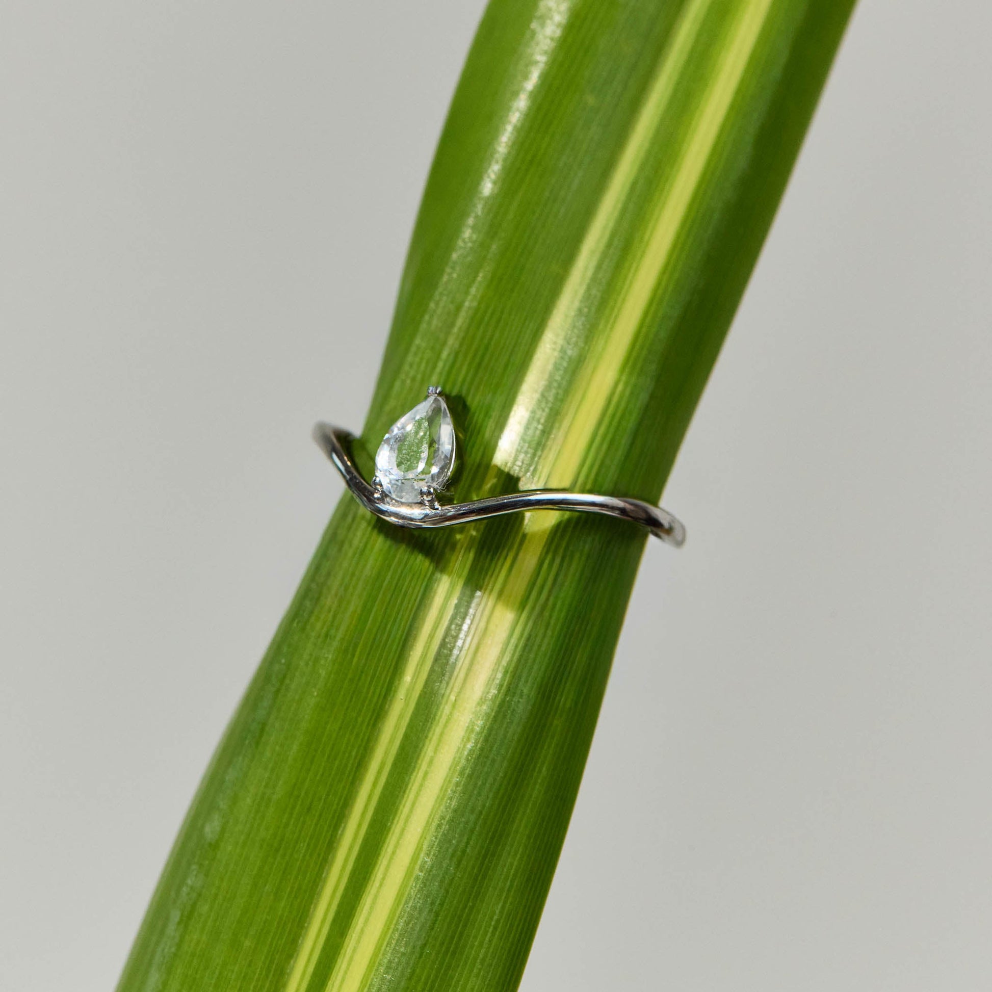 Stay A While Ring - LÚDERE